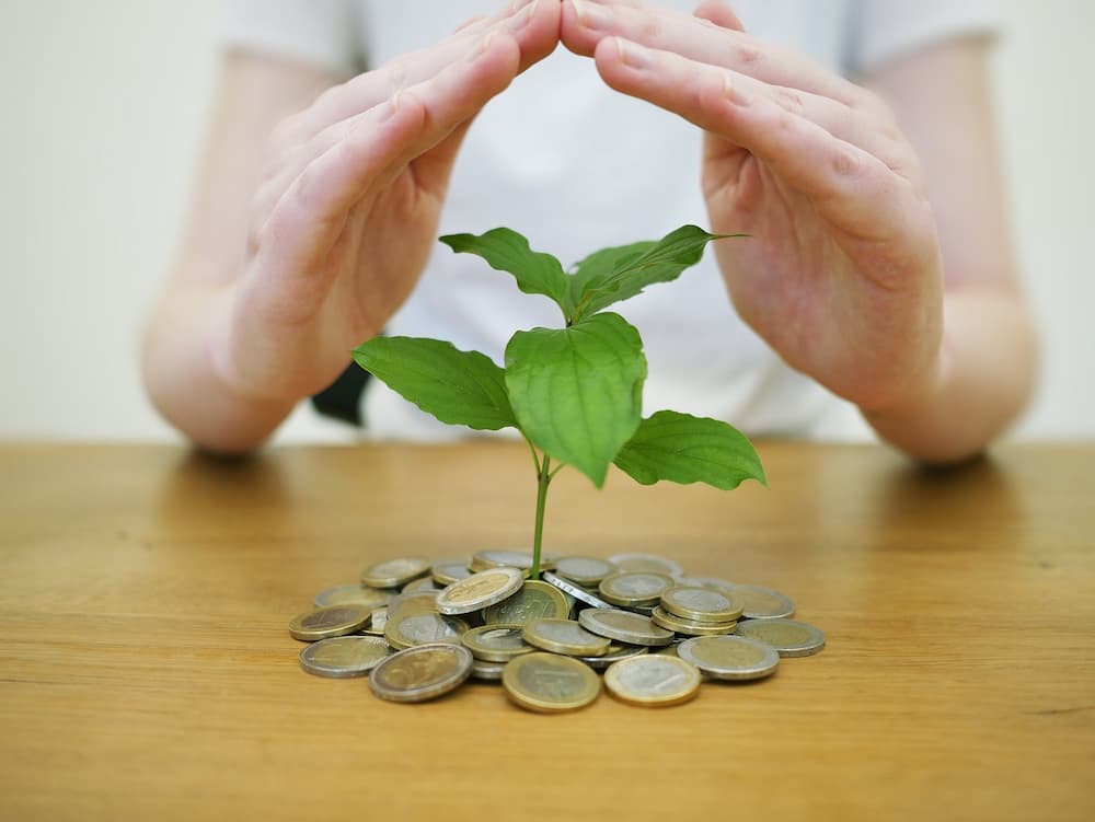 Dónde invertir sin riesgo: opciones más seguras
